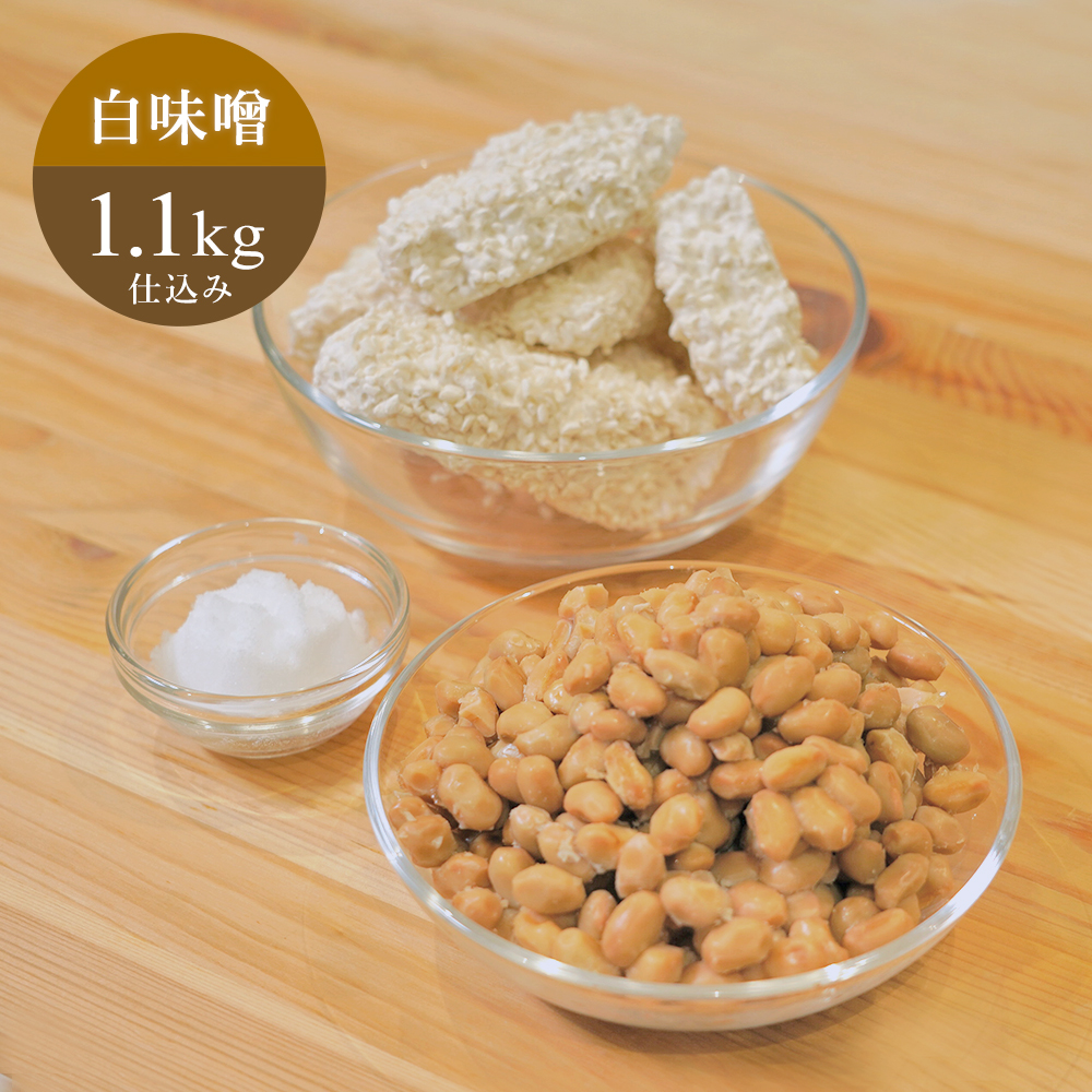 ［完売しました］【先着5組様】みそ蔵見学付 白みそキット（冷蔵便）1.1kg仕込み【8月20日発送】