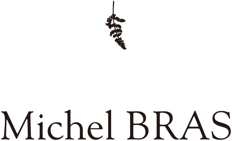 Michel BRAS